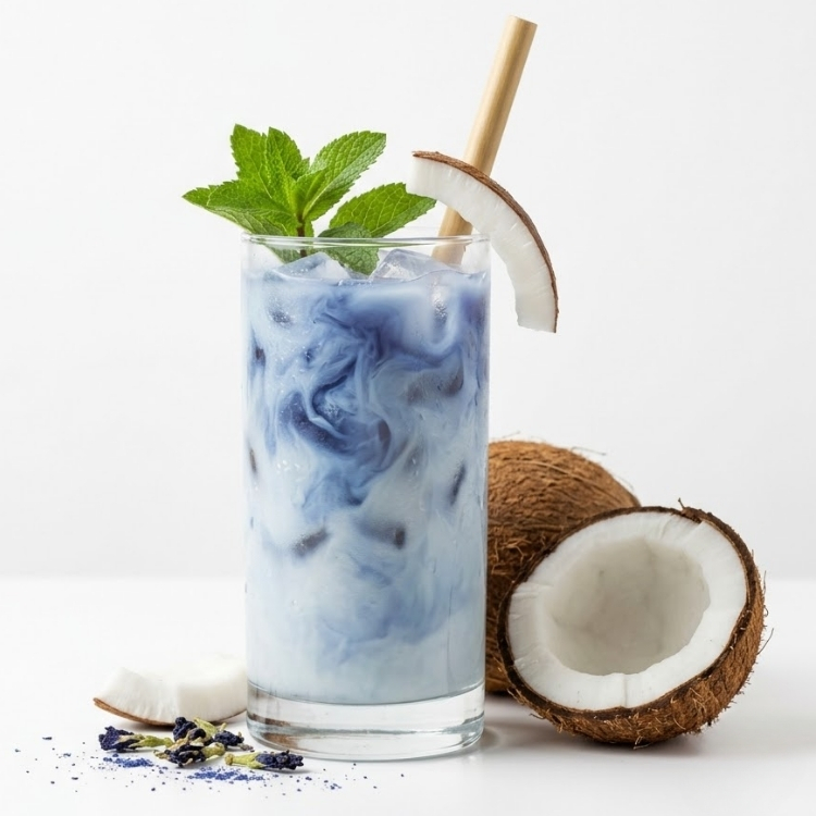Hipnoz Coconut